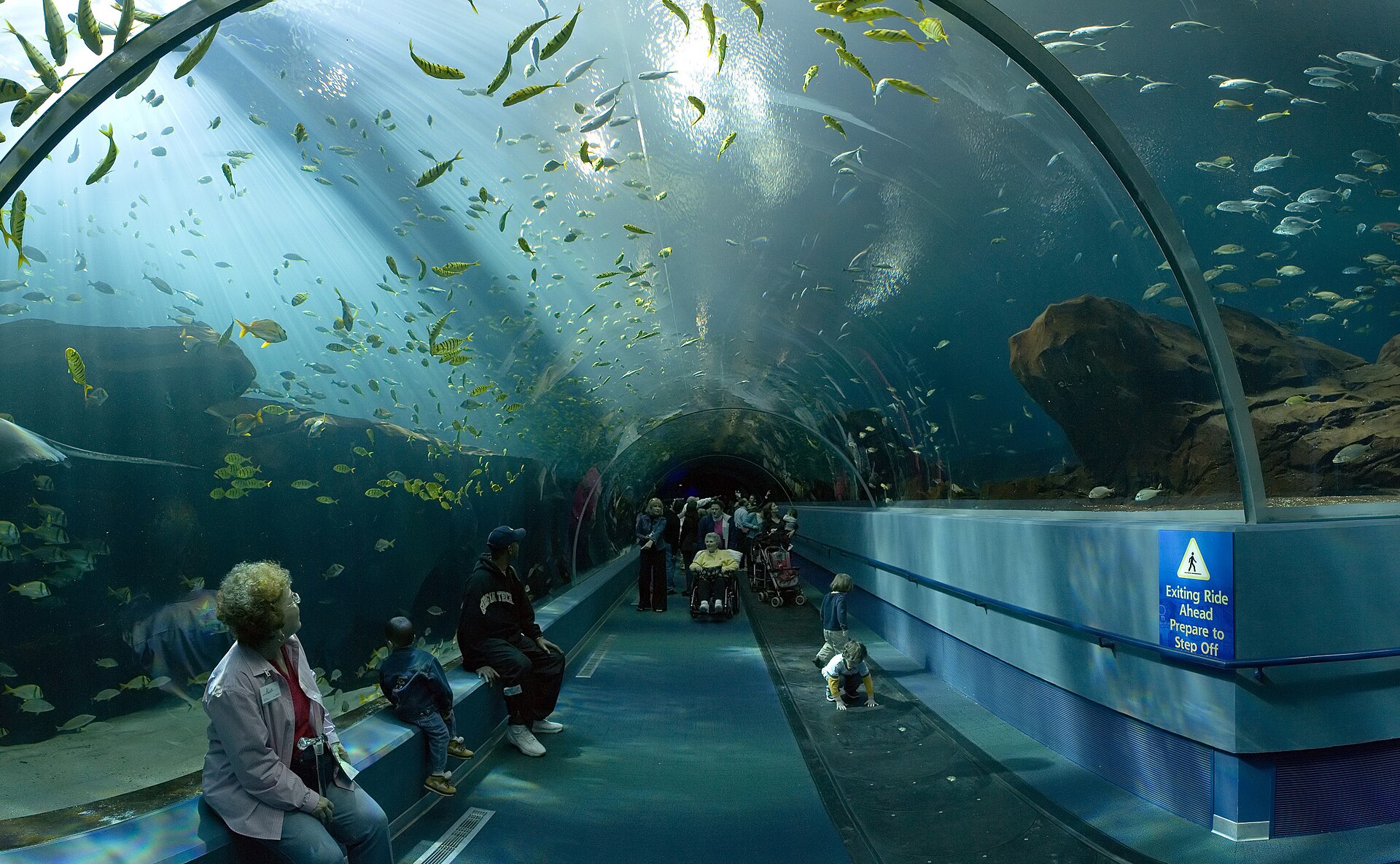 Acrylic visitor tunnel through a large public aquarium tank